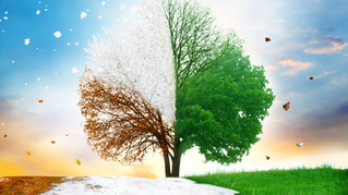 How Seasonality Affects Business Valuation