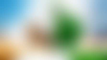 How Seasonality Affects Business Valuation