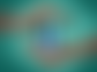 The Art of Confidentiality: Managing Sensitive Information During a Sale