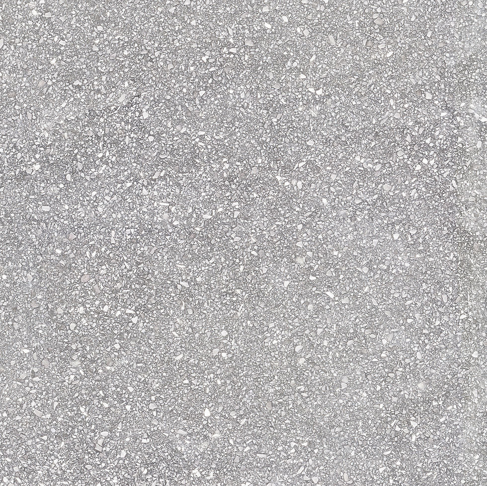 ภาพขนาดย่อ: Terrazo Bianco