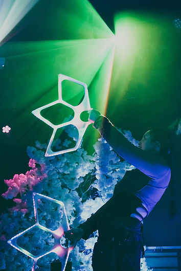 TheDancingPlant8.jpg