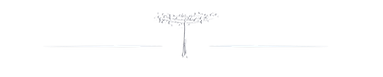 divisor de texto araucaria.png