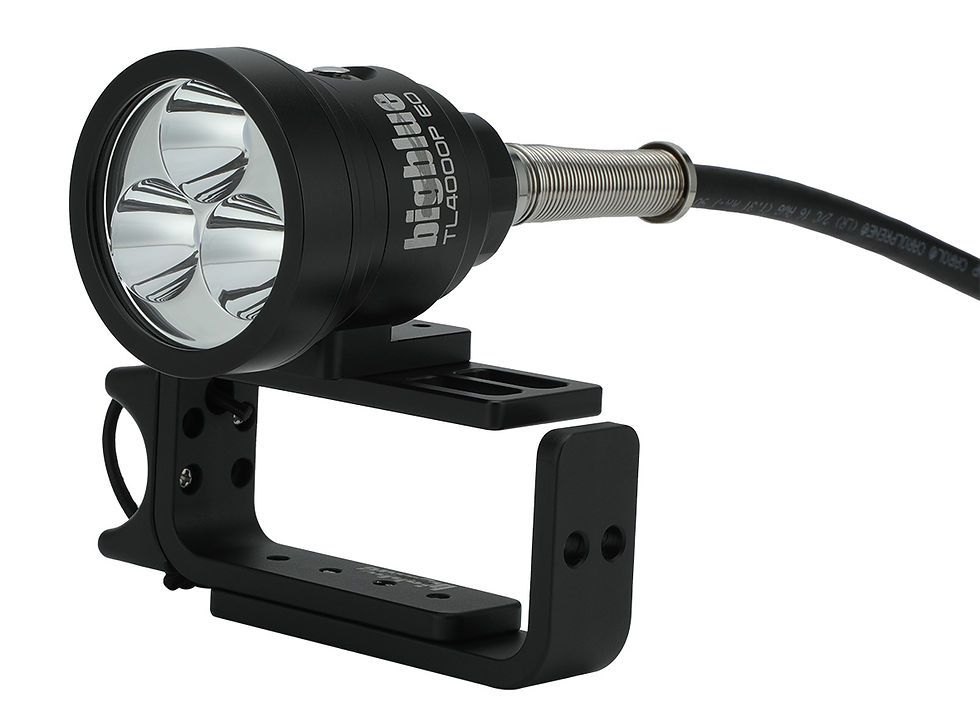 Thumbnail: TL4000P EO Light Head