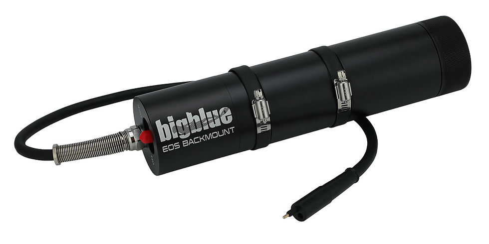 Thumbnail: EOS Canister Backmount / Sidemount