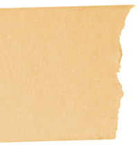 Torn Beige Paper Texture