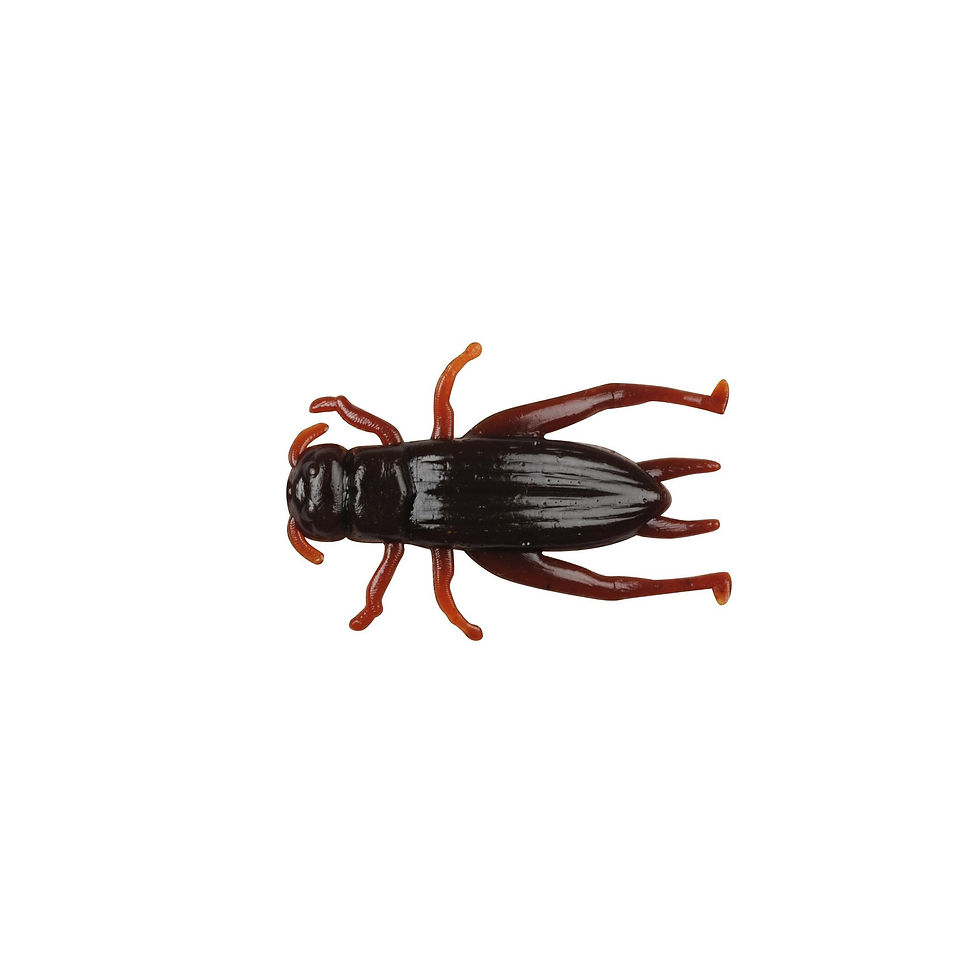 Berkley Gulp Cricket