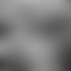 The Productivity Paradox