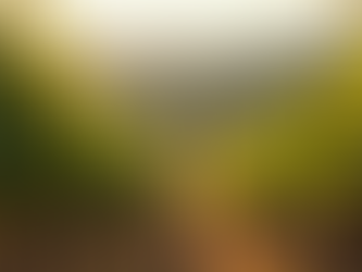 VIP Access: Exclusive Experiences for Travelers