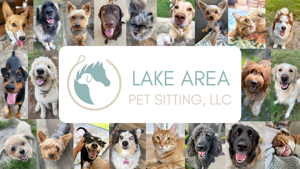 Lake Area Pet Sitting Main Website Image - Updated 7-14-2025(2).png