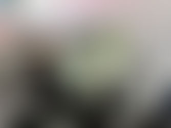 Rider Reformer Pilates