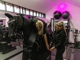 Are you Fit To Function?