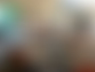 ECOlution is pleased with another international partner meeting