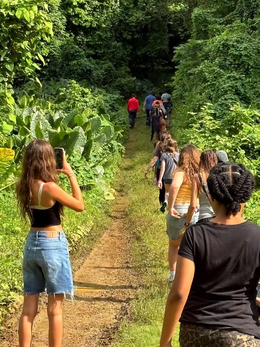 visit of rainforest.png