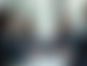 Navigating Risk Management in Emerging Ventures Effectively