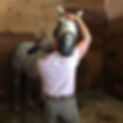 IMG_7279.jpeg