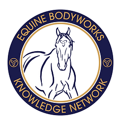 EBKN Navy & Gold Cutout Logo.png