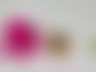 Nelis fio de polvo (vídeo)