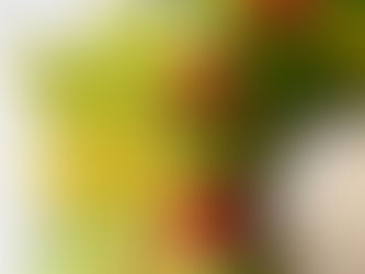 Folhas da guirlanda (vídeo)