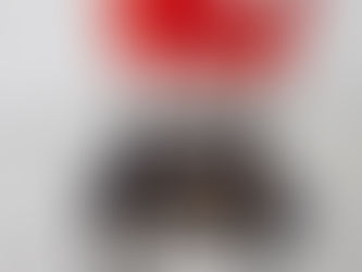 Snooze, Terras Distantes (live)