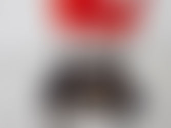 Snooze, Terras Distantes (live)