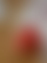 Mimo de Páscoa (live Facebook)