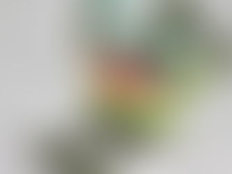 Bolsinha Sapo ou Monstro? (vídeo)