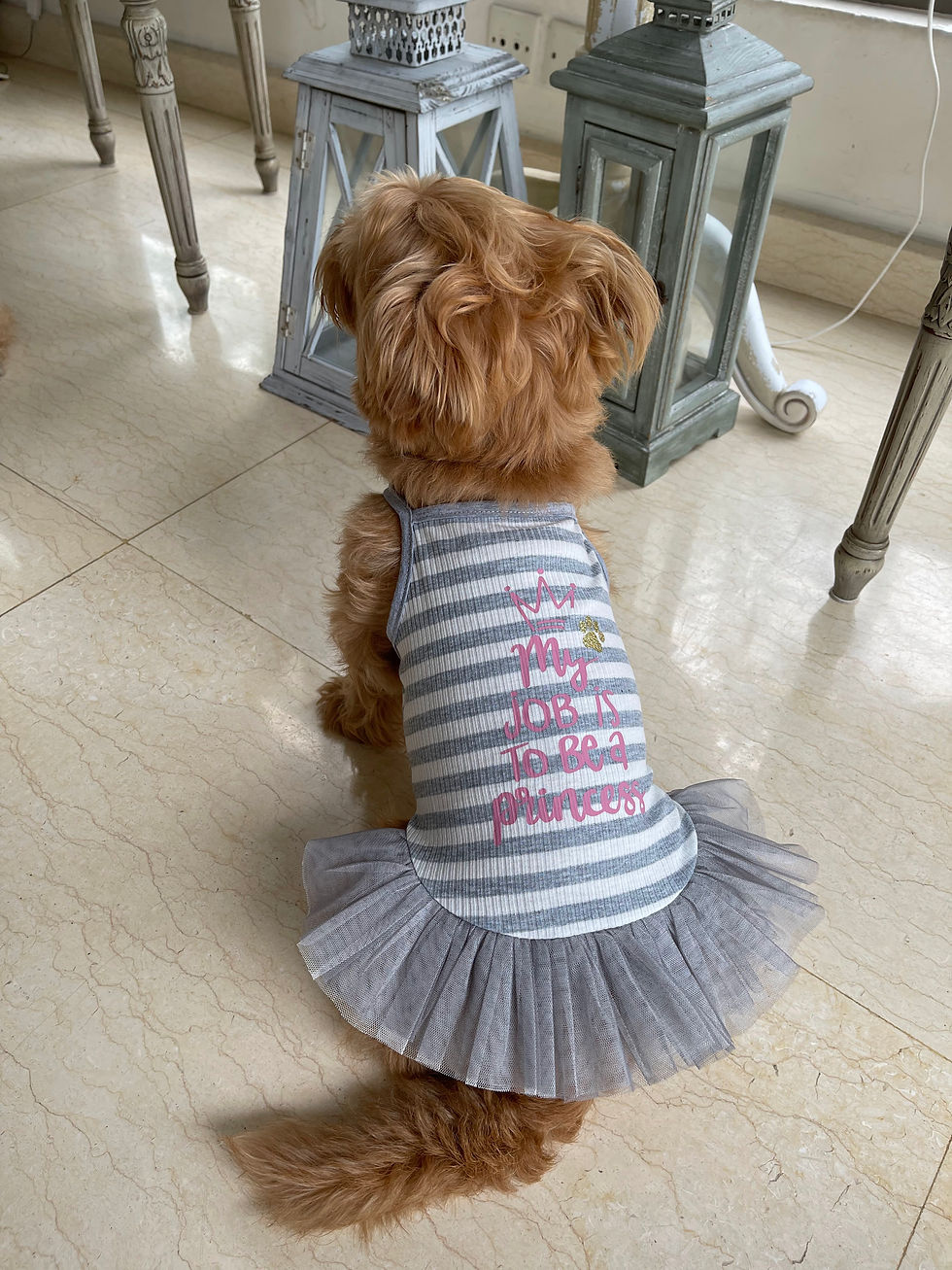 縮圖：Dog T Shirt My job is to be a princess Girl’s summer T