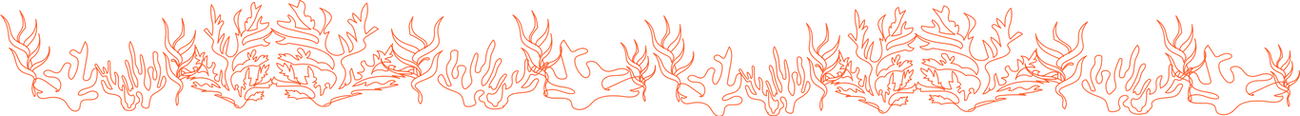 Sea-Changers Coral Marine Conservation C
