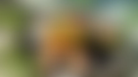 Tulum, Mexico: Bachelorette Party