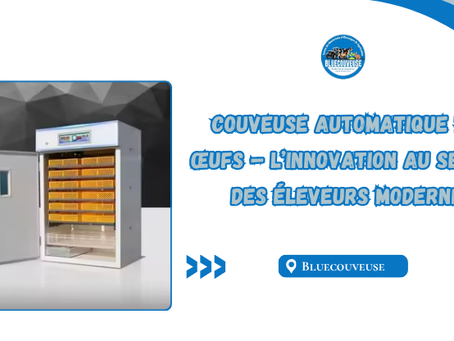 couveuse automatique 1232 œufs