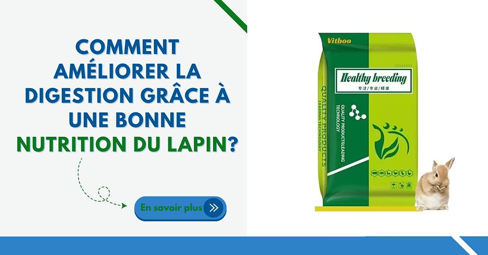 nutrition du lapin