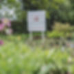 Canalside Summer Garden Party - Supporting Nantwich’s Growing Health Community Garden