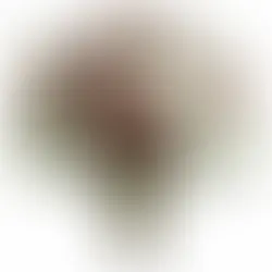 Make Moments Unforgettable with Best Flowers by trusted florists at Flowers Mart