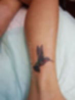 Tiny Humming Bird