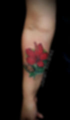 Coqui with Hibiscus.jpg