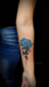 I know Blue Rose