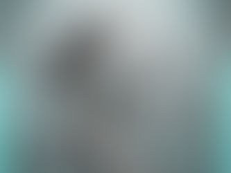 Gnatologia: os movimentos mandibulares sendo traduzidos para a mecânica dos articuladores.