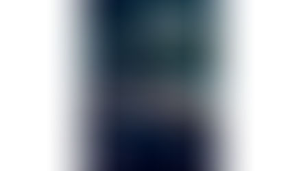 Livro Oficial IN24. Foto: Santos Publicações Ltda.