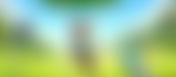 Veracidade: quando se planeja e acerta o centro do alvo.