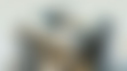 Ferramentas de produtividade na Odontologia: anestesia, prótese, e fotografia