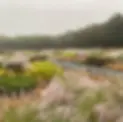 122163186_2362338357224162_5069908553287541660_n.webp