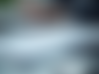 Los servicios de prevención de riesgos de Ostara Risk Solutions