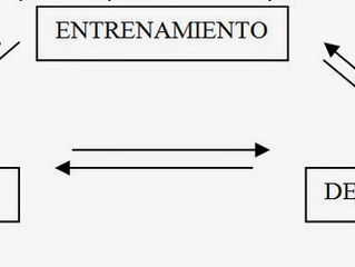 3 Claves que harán que no te estanques en tus rutinas