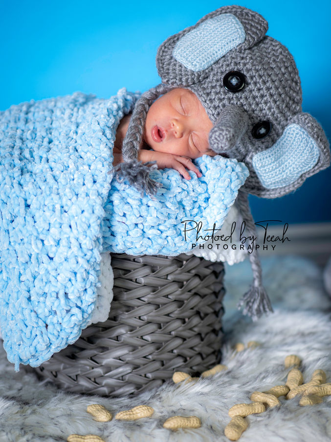 IMG_6980-Edit.jpg