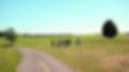 PAYSAGE.jpg