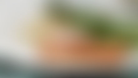 Honey grilled salmon and asparagus (Lunch/Dinner)