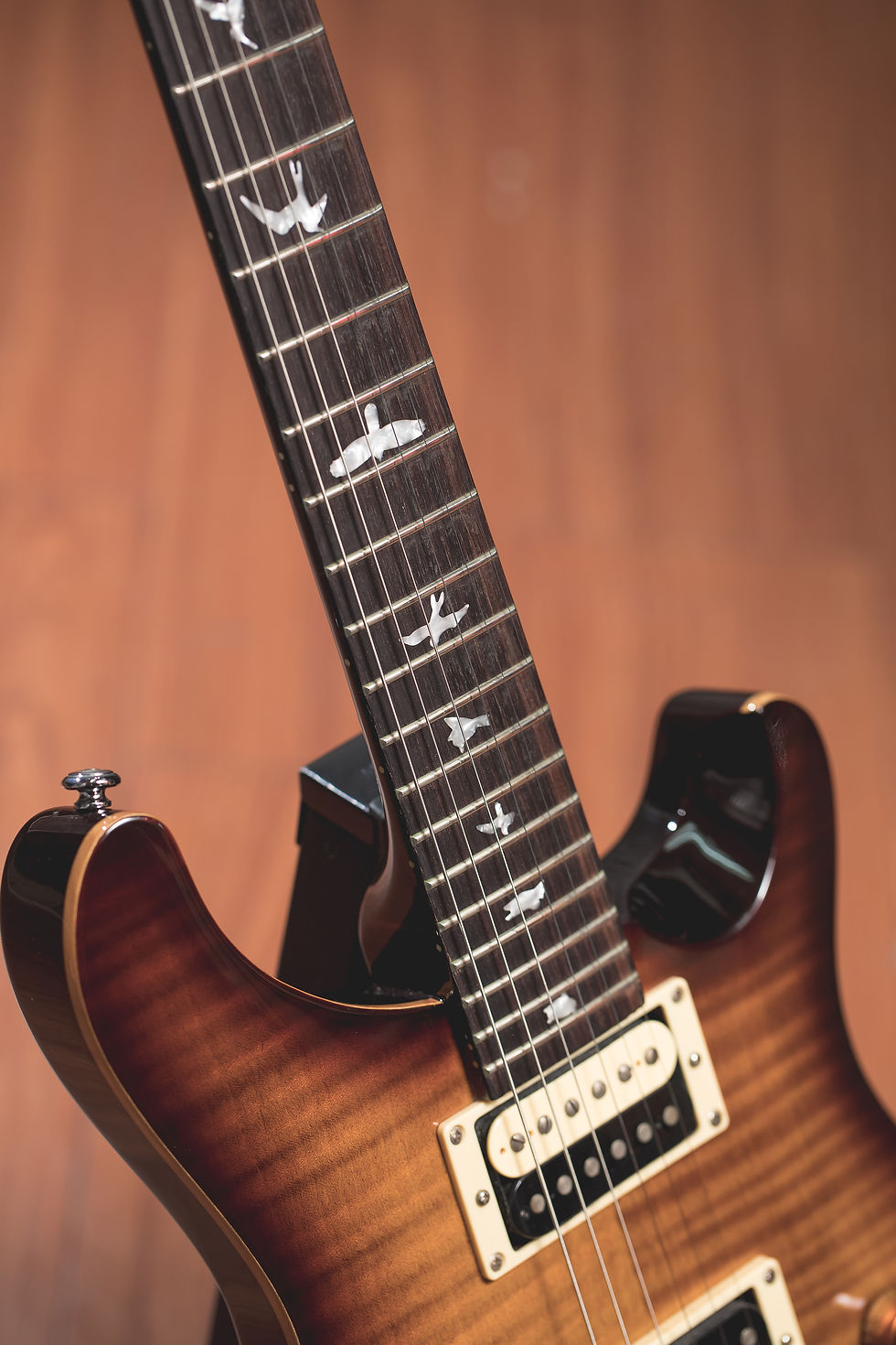 縮圖：PRS SE Custom 24