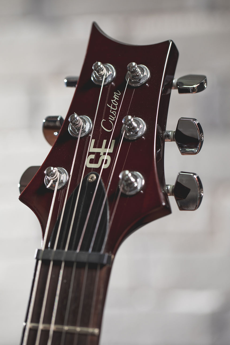 縮圖：PRS SE Custom 24