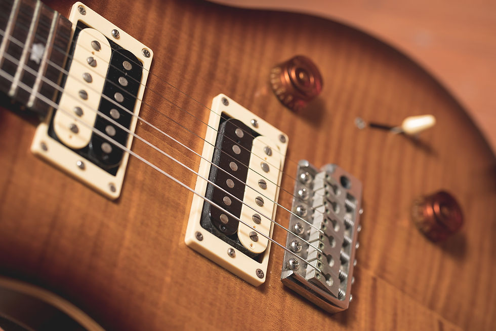 縮圖：PRS SE Custom 24