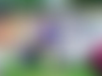 MiTo会全国オフ会AW